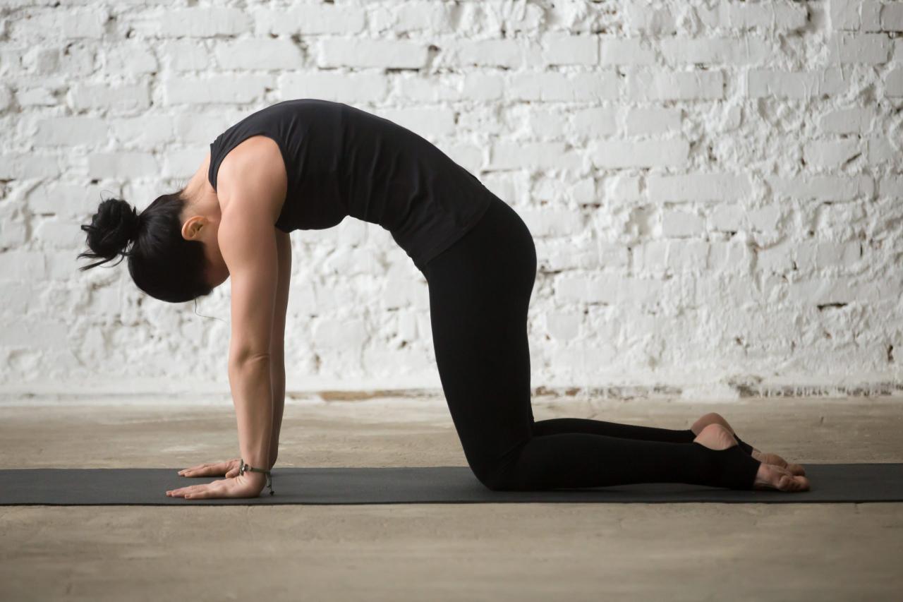 6 Yoga Poses to try for Back Pain - Cat Pose